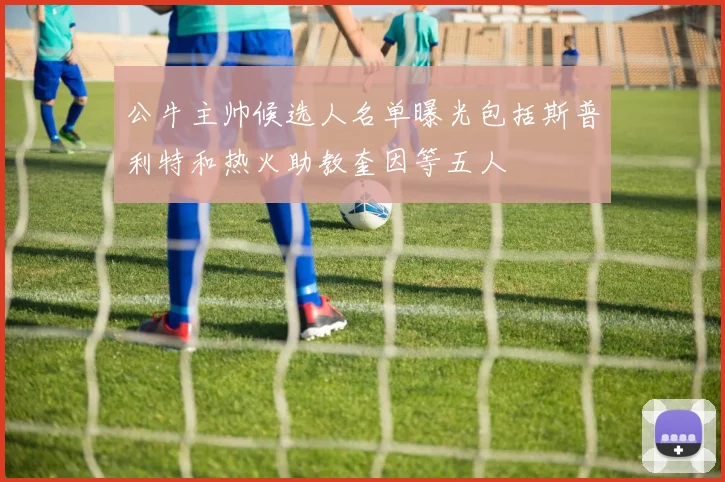 公牛主帅候选人名单曝光包括斯普利特和热火助教奎因等五人