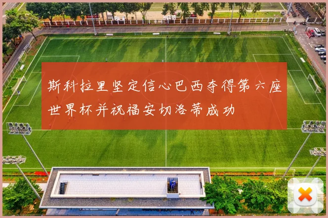 斯科拉里坚定信心巴西夺得第六座世界杯并祝福安切洛蒂成功